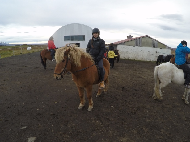Iceland-horse-riding